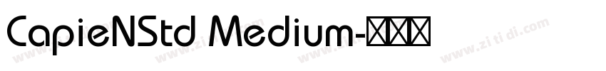 CapieNStd Medium字体转换
